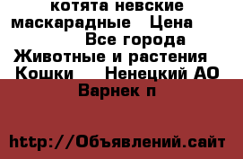 котята невские маскарадные › Цена ­ 18 000 - Все города Животные и растения » Кошки   . Ненецкий АО,Варнек п.